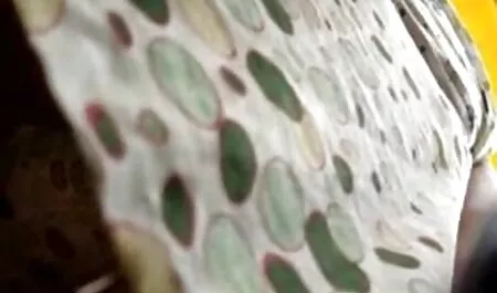 Student pokazał swoje porno darmowe do pobrania piękne nagie ciało