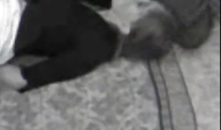 Po tym, jak filmy erotyczne z blondynkami kapelusz penis wszedł w tyłek