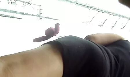 Na darmowe filmy porno z koniem stołach kuchennych